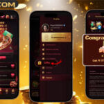 Daily Promotional Spin Overview